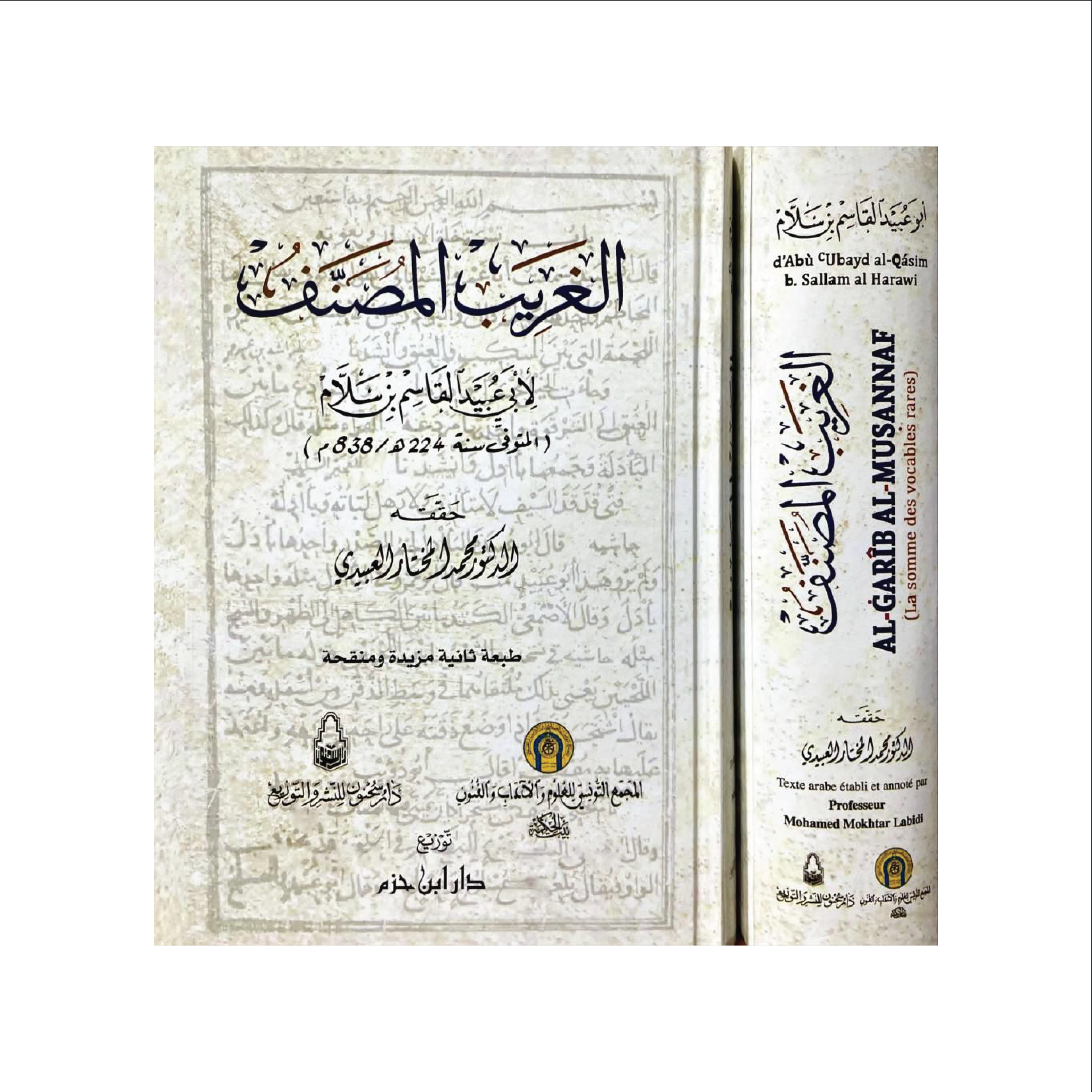 Al gharib al musannaf